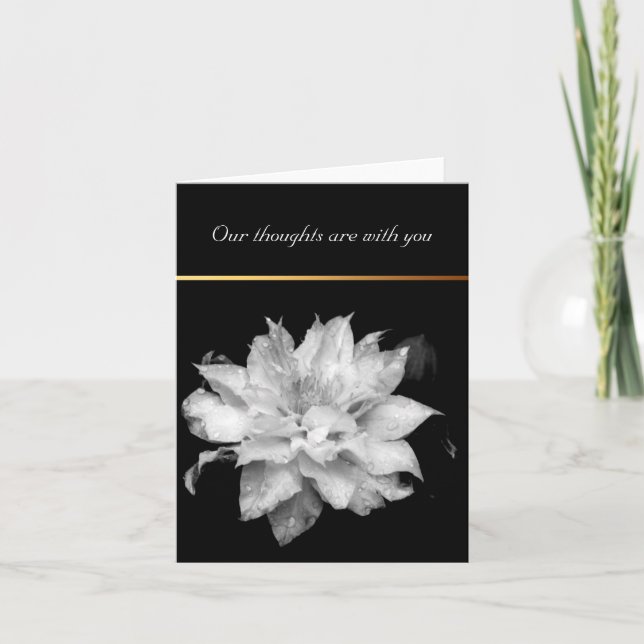 Dewdrops Clematis 3 Condolences Sympathy Note card (Front)