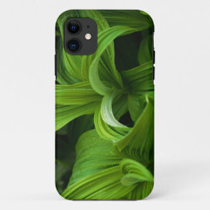 Dewdrops on a False Helabore iPhone 11 Case