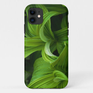Dewdrops on a False Helabore iPhone 11 Case