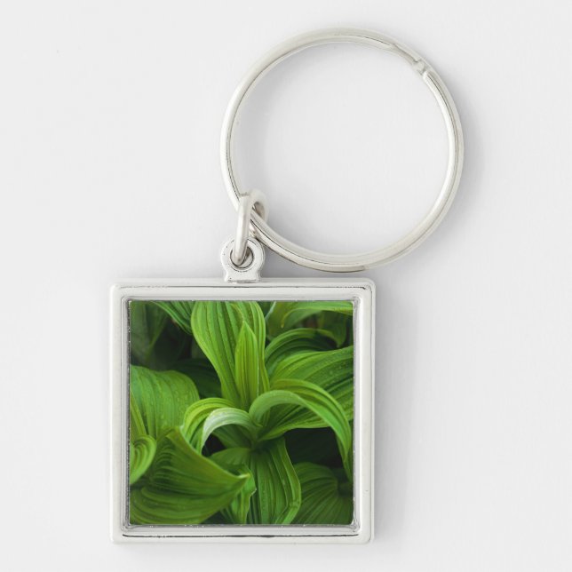 Dewdrops on a False Helabore Key Ring (Front)