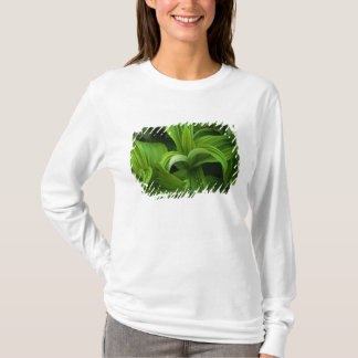 Dewdrops on a False Helabore T-Shirt