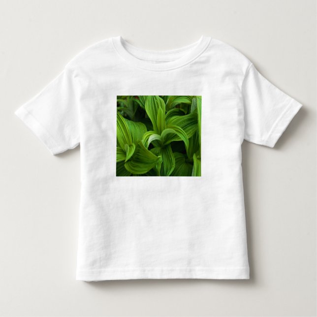 Dewdrops on a False Helabore Toddler T-Shirt (Front)
