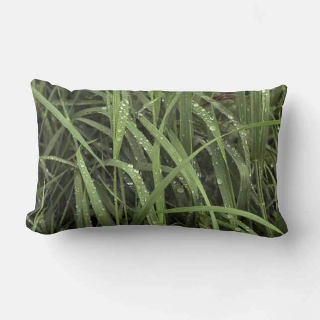 Dewdrops on Grass Lumbar Cushion (Front)