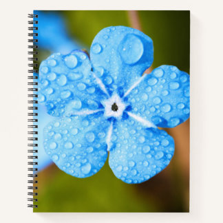 Dewey blue flower Spiral Notebook