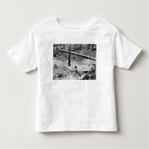 Dewey Gold Mine on Thunder Mountain, Idaho Toddler T-Shirt