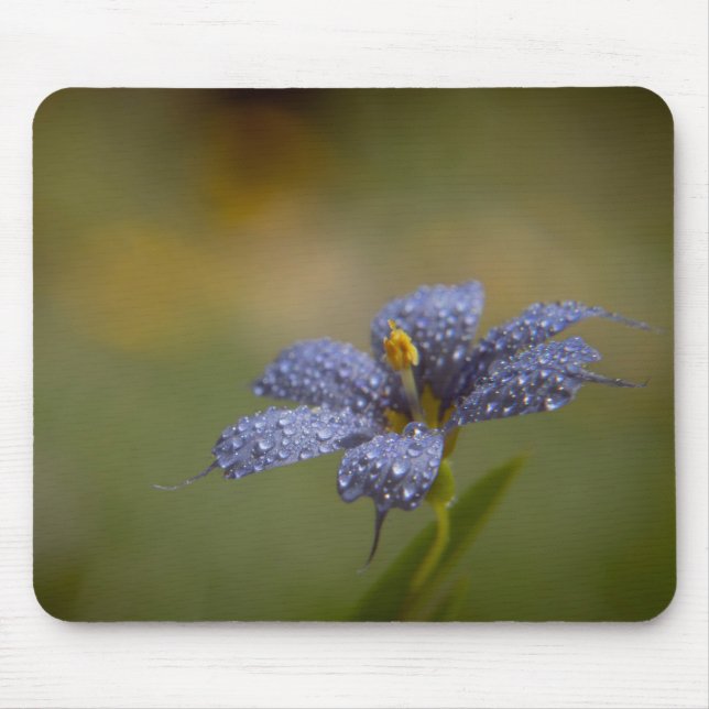 Dewy Blue-Eyed Mouse Pad (Front)