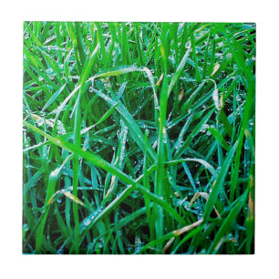 Dewy Grass Ceramic Tile