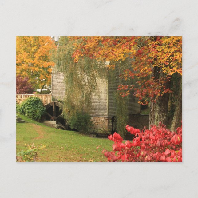 Dexter Grist Mill Sandwich Cape Cod Postcard (Front)
