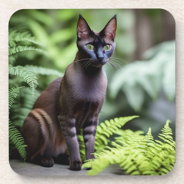 Dexter The Black Siamese Cat, Coasters (Front)