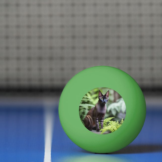 Dexter The Black Siamese Cat,  Ping Pong Ball (Net)