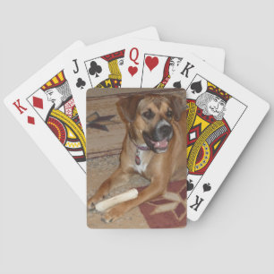 DG- Boxer Mix Playing Cards