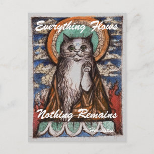 Dharma Cat Impermanence Postcard