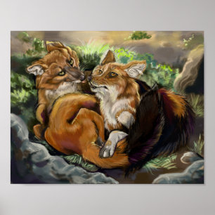 Dhole Cuddle Couple Poster