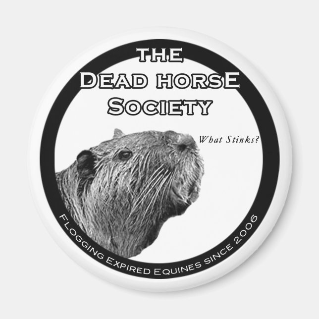 DHS Refrigerator Magnet (Front)