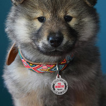 Diabetic Pet Medical Alert Custom Name Grey Black 