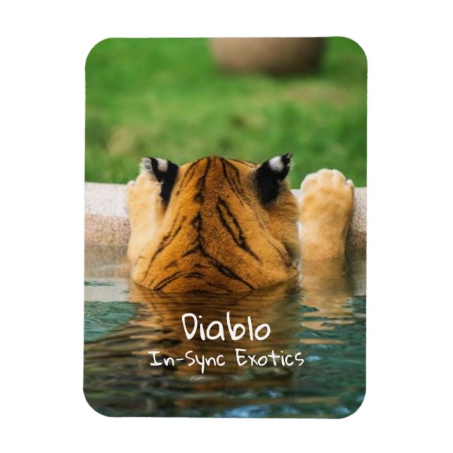 Diablo -  magnet (Vertical)