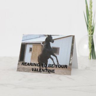 DIADHEMS DREAM, REARING TO BE YOUR VALENTINE HOLIDAY CARD