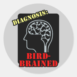 Diagnosis: Bird-Brained Classic Round Sticker