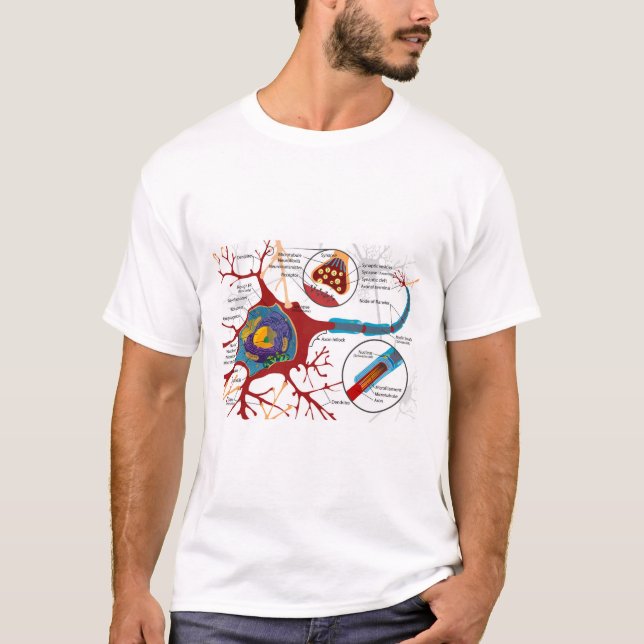 Diagram Complete Neuron Cell Nerve Nervous System  T-Shirt (Front)