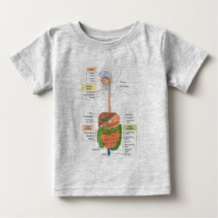 Diagram Human Gastrointestinal Digestive system  Baby T-Shirt