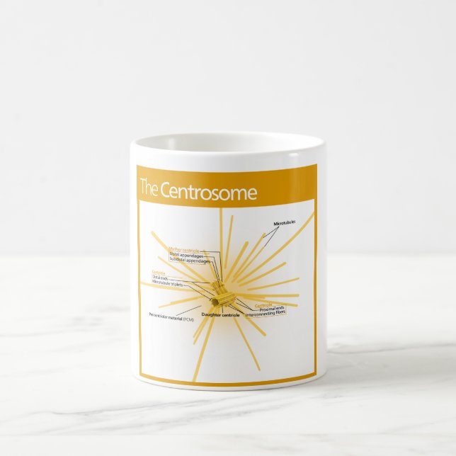 Diagram of a Centrosome Coffee Mug (Center)