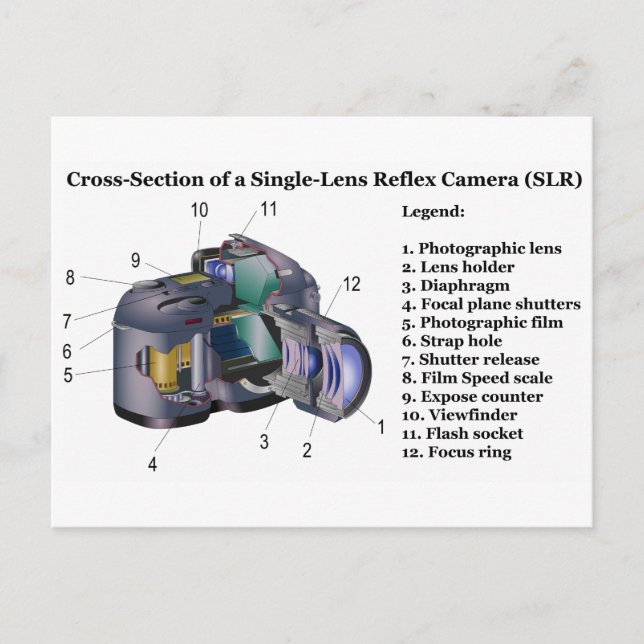 Diagram of a Single Lens Reflex Camera SLR Postcard (Front)