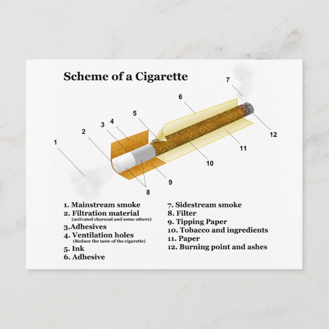 Diagram of a Tobacco Cigarette Smoking Postcard (Front)