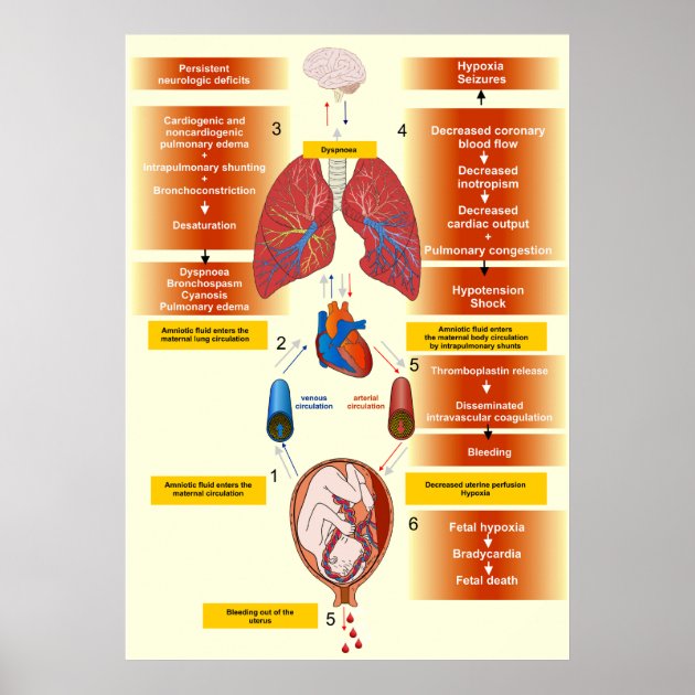amniotic fluid on pad amniotic fluid on pad