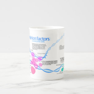 Diagram of gene transcription factors bone china mug