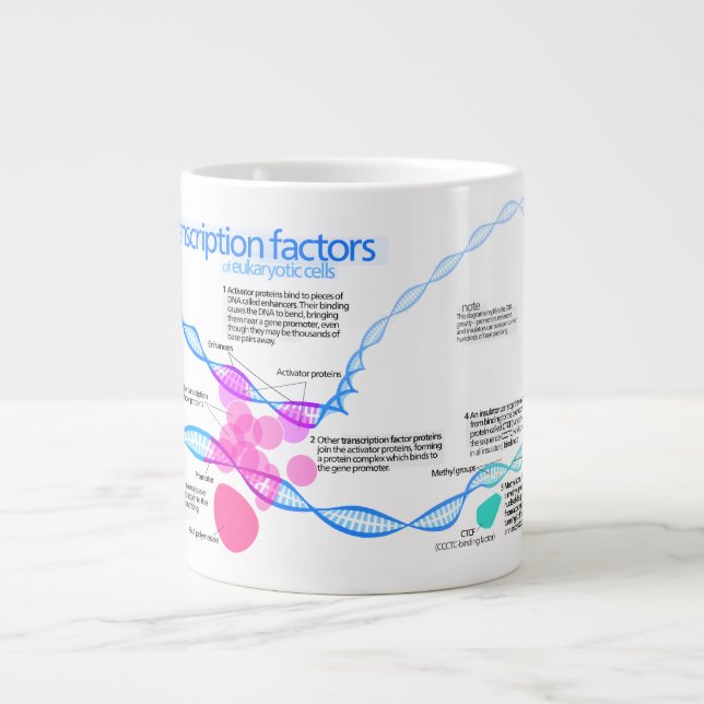 Diagram of gene transcription factors large coffee mug (Front)