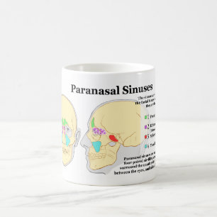 Diagram of Human Paranasal Sinuses Coffee Mug
