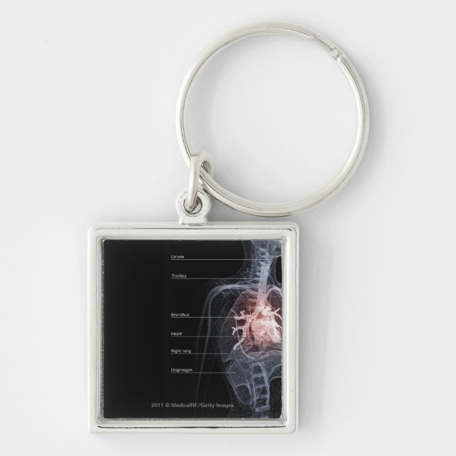 Diagram of the respiratory system and the heart key ring (Front)