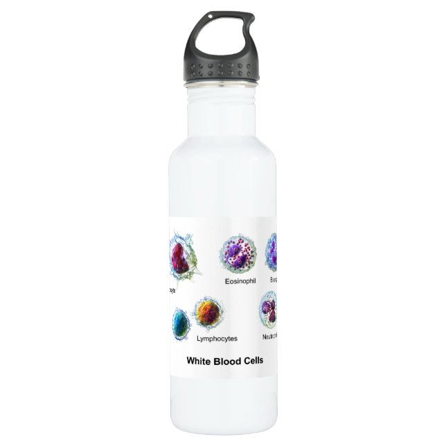 Diagram of White Blood Cells Leukocytes 710 Ml Water Bottle (Front)