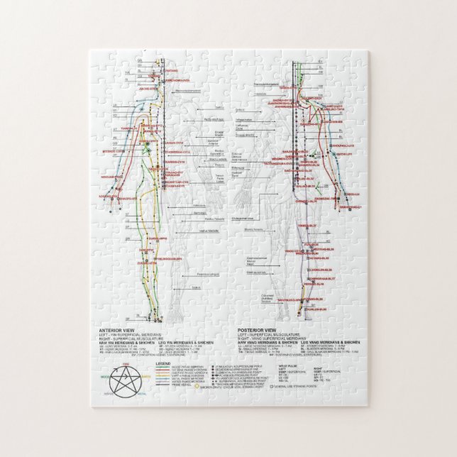 Diagram Schematic Chinese Meridians Human Body  Jigsaw Puzzle (Vertical)