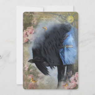 DIAMOND and his new Blanket - Greeting Card