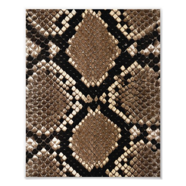 Diamond Back Rattlessnake Skin Photo Print (Front)