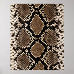 Diamond Back Rattlessnake Skin Poster