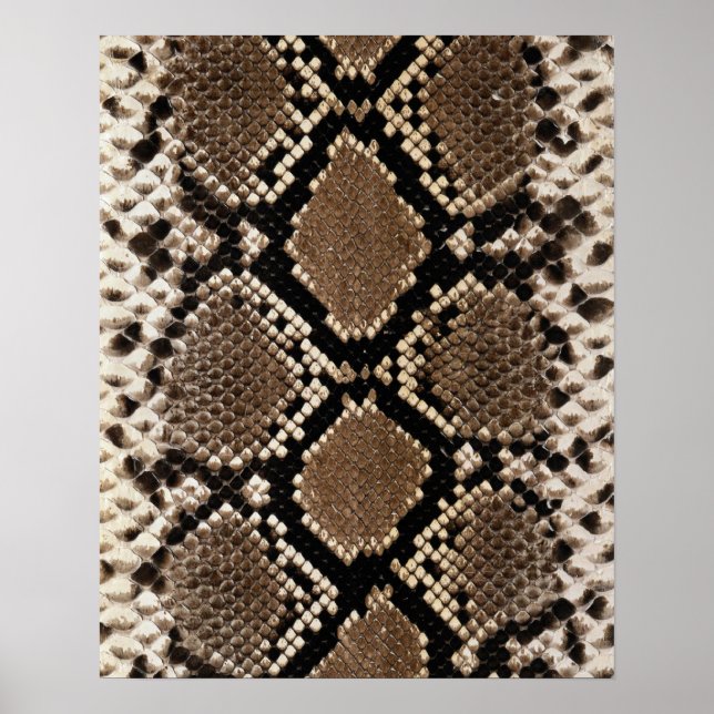 Diamond Back Rattlessnake Skin Poster (Front)