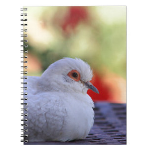 Diamond Dove Bird journal