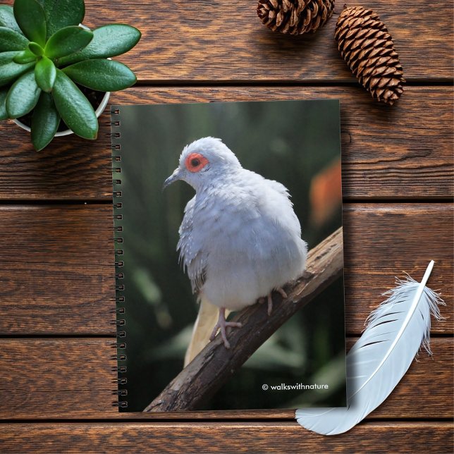 Diamond Dove in the Spotlight Notebook (Diamond Dove in the Spotlight Journal Cover Photo)