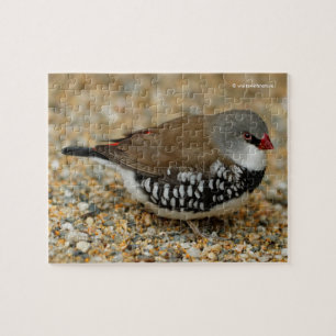 Diamond Firetail Finch Jigsaw Puzzle