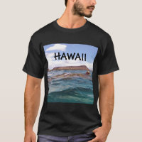 Diamond Head Hawaii Turtle