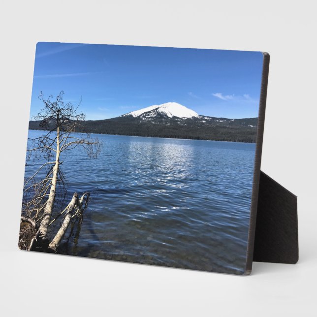 Diamond Lake, Oregon Plaque (Side)