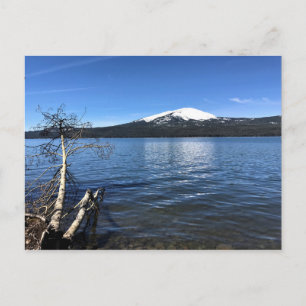 Diamond Lake, Oregon Postcard
