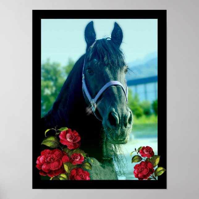 DIAMOND Portrait - Poster (Front)