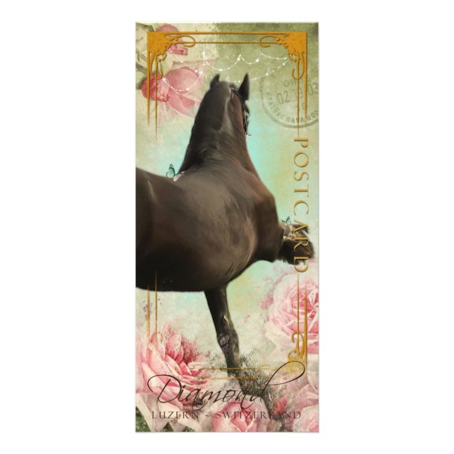 DIAMOND - Rackcard 3 / Postcard Rack Card (Front)