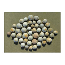 DIAMOND SHELLS 10x14