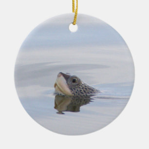 Diamondback Terrapin Turtle Face Ornament
