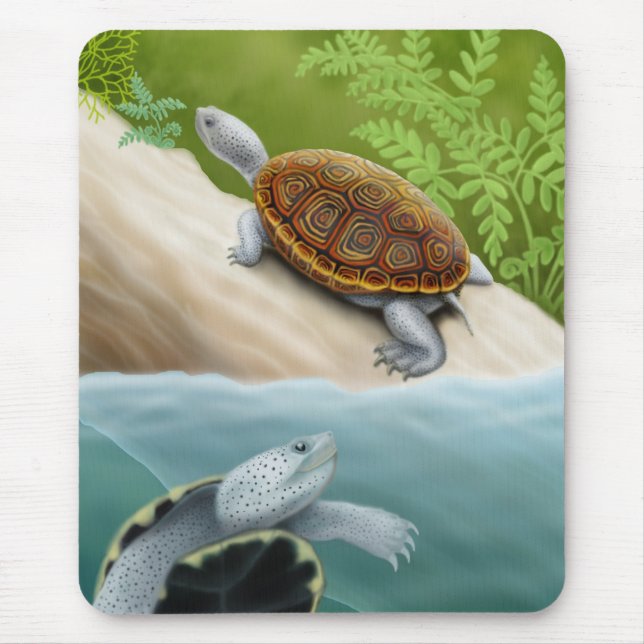 Diamondback Terrapin Turtles Mousepad (Front)