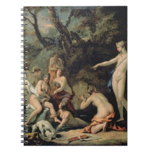 Diana and Callisto Notebook